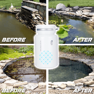 Natural Water Cleaner – Naturalny środek czyszczący do wody z alg 03