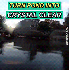 Natural Water Cleaner – Naturalny środek czyszczący do wody z alg slider